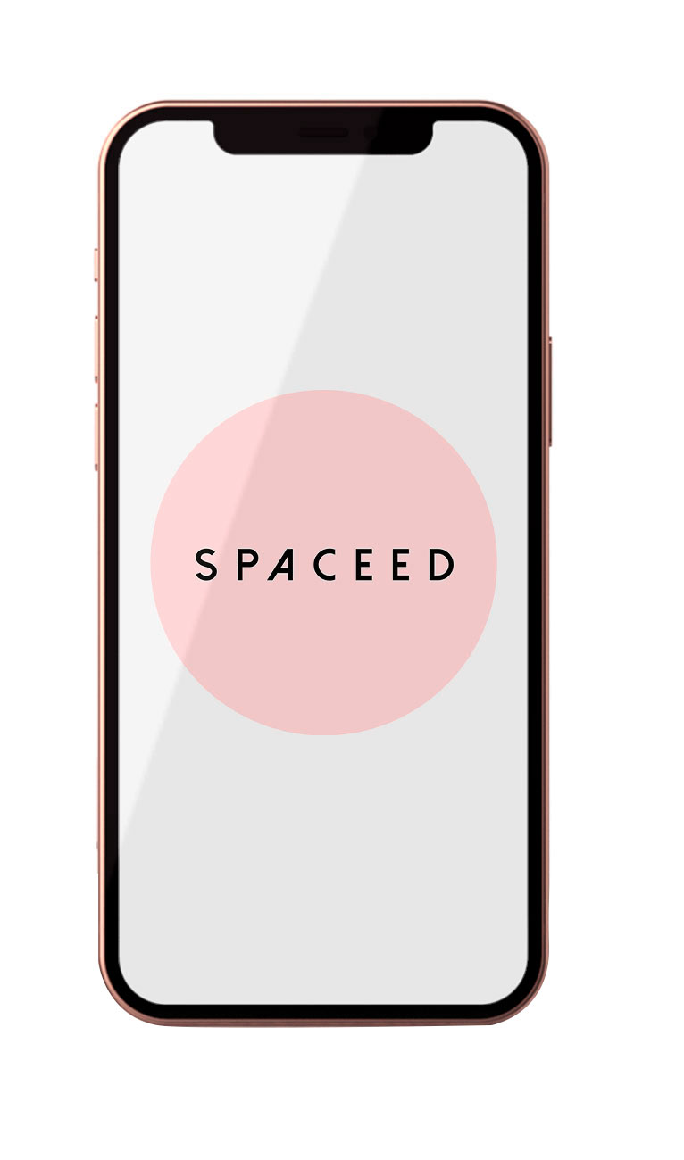 spaceed-contato-geral